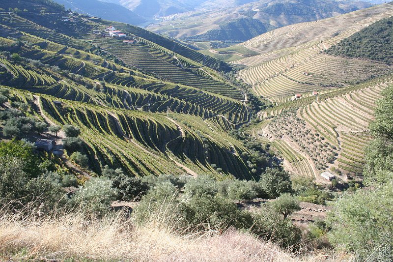 80_balade sur le douro_pinaho.JPG